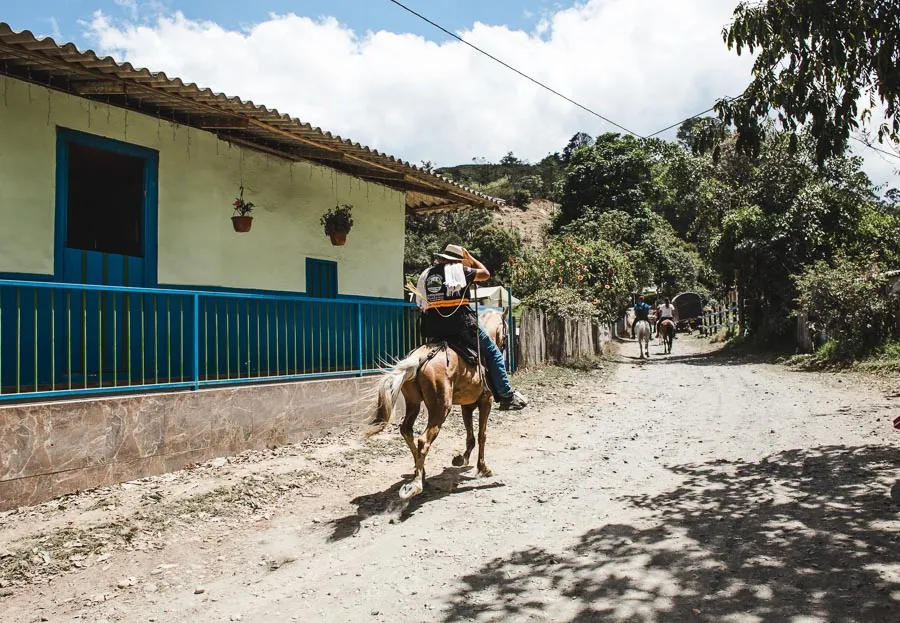 salento coffee tours colombia fincas review acacias