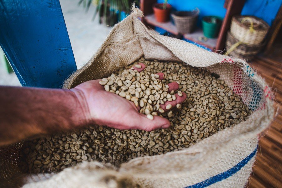 Salento coffee tours: Reviewing 3 of travellers’ fave Colombian coffee fincas