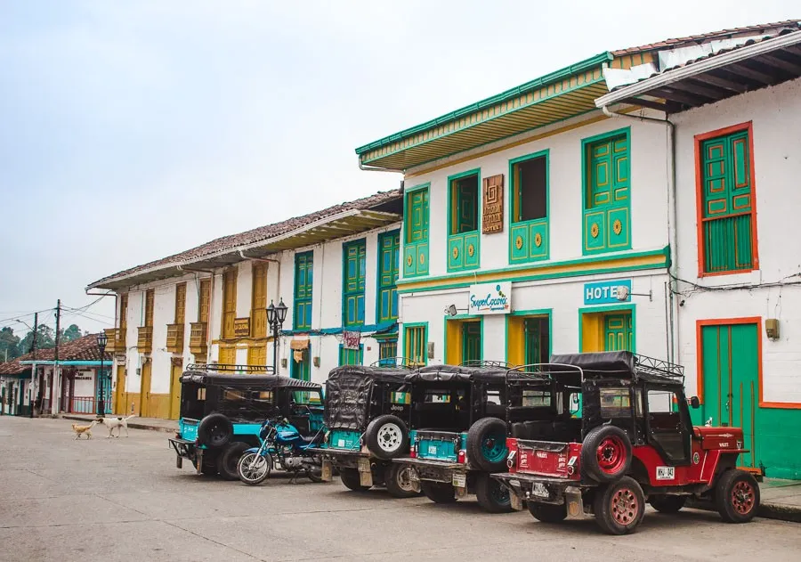 salento coffee tours colombia fincas review willy