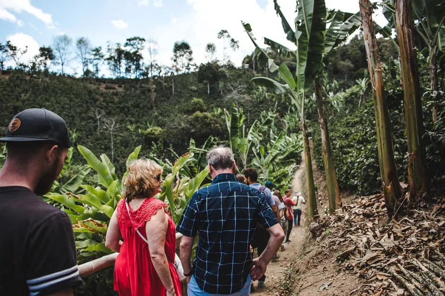 salento coffee tours colombia fincas review