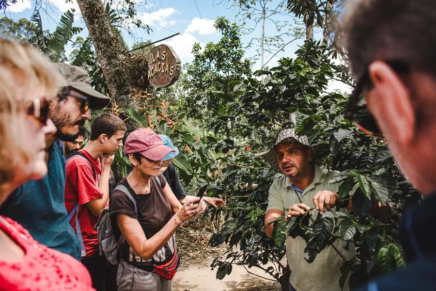 salento coffee tours colombia fincas review