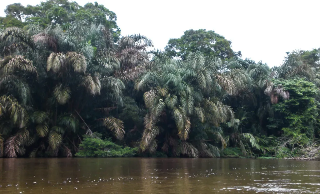 tortuguero river boat cruise - famous landmarks in costa rica