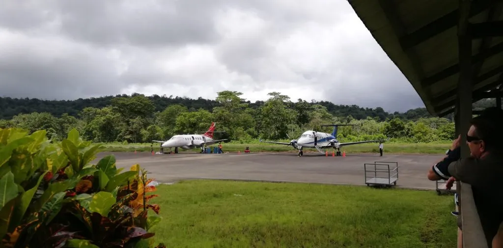 Plane in the jungle: why it's great for having travel on your résumé