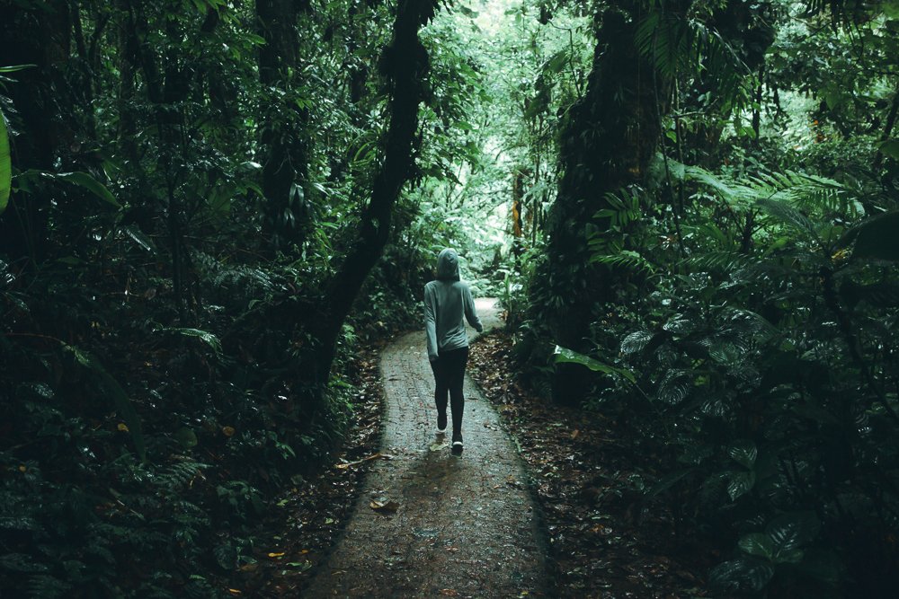 Backpacker girl on forest path in Monteverde: 11 things to know about costa rica pura vida