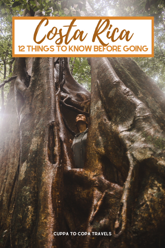 Backpacker girl in tree in Monteverde: 11 things to know about costa rica pura vida