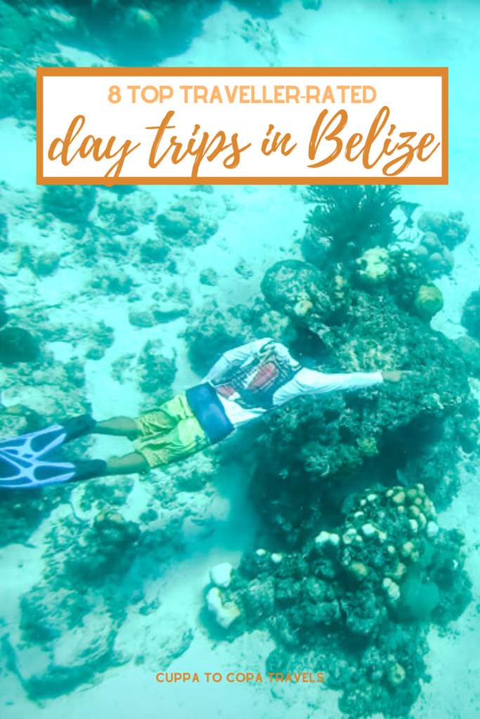 top-rated bestseller belize excursions and tours