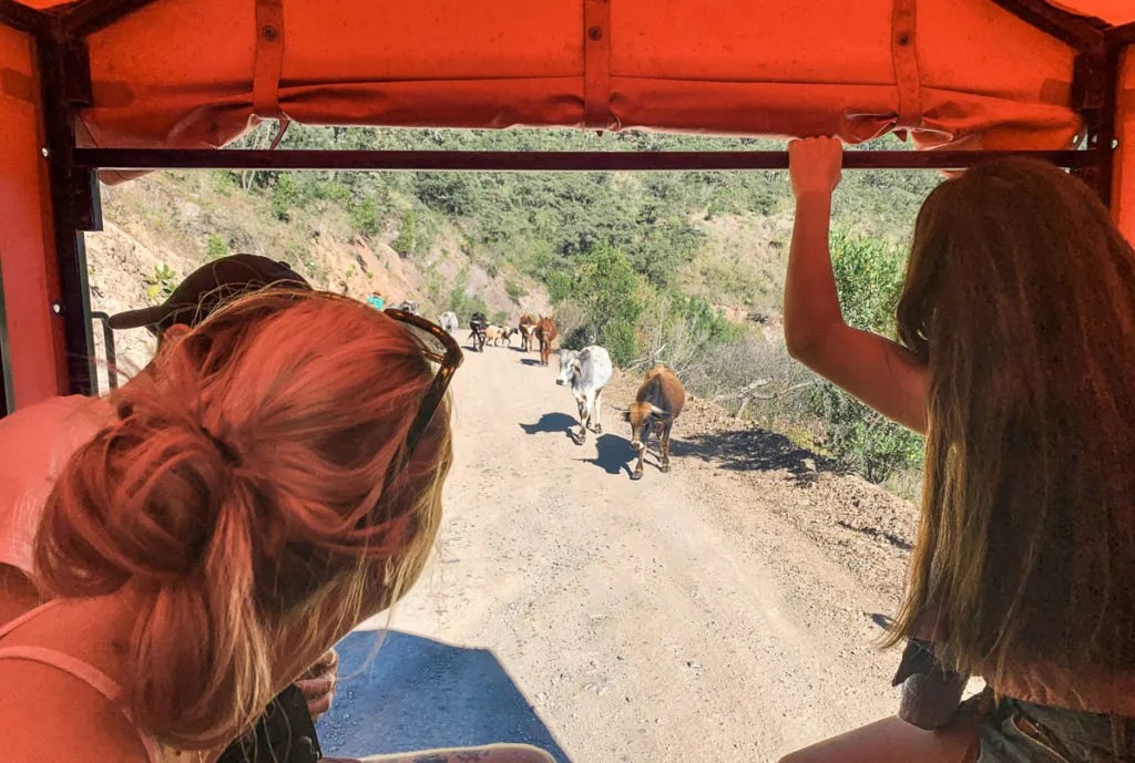 4x4 pick-up truck - how to get to Hierve el Agua from Oaxaca Mexico (with or without a tour)