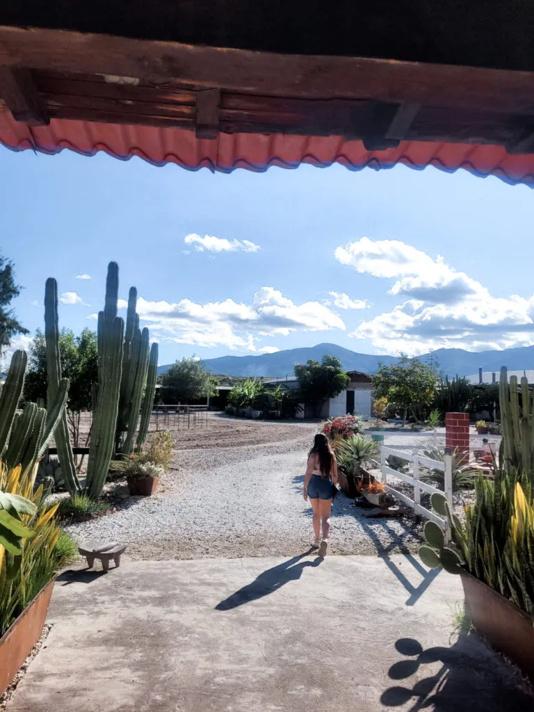 Backpacker girl in Oaxaca - rancho blanco restaurant and mezcal Mexico