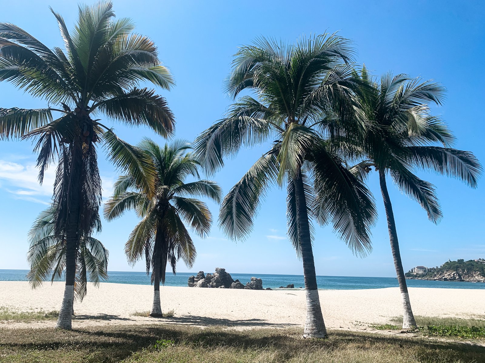 If we only had 2 weeks: Mexico itinerary (Oaxaca state)