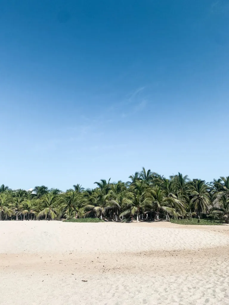 2 week mexico itinerary oaxaca state - la punta beach puerto escondido