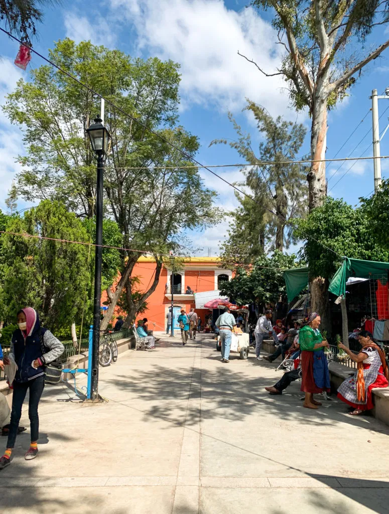 tlacolula market sunday oaxaca street food mexico