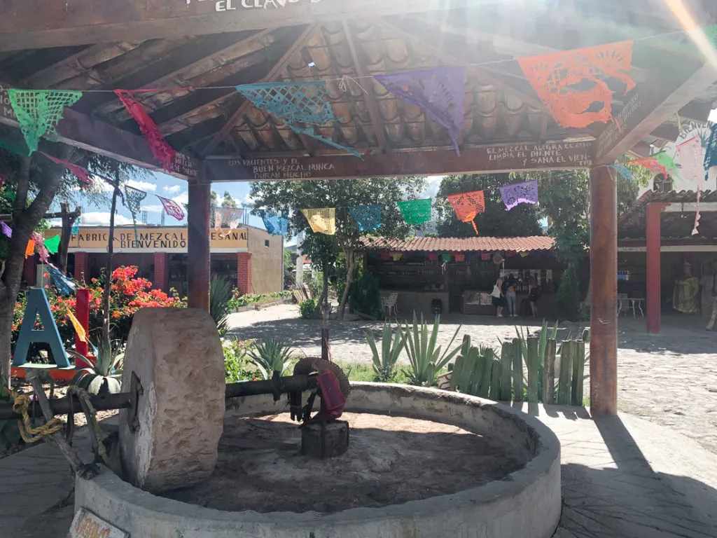 mezcal tours - mezcaleria caminos de mezcal - oaxaca day trips