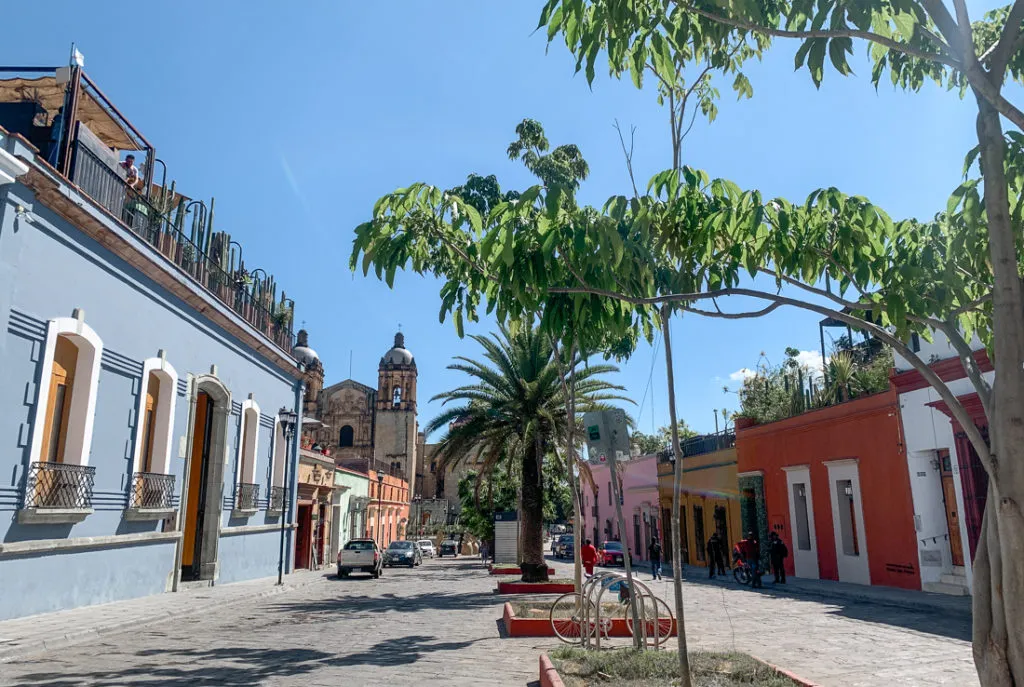 rooftop restaurants in oaxaca near templo santo domingo - things to do in oaxaca mexico