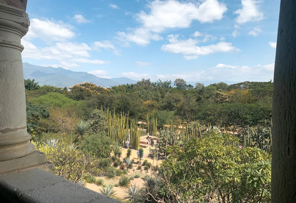 things to do in oaxaca mexico: jardin botanico
